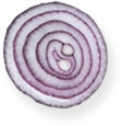 onion